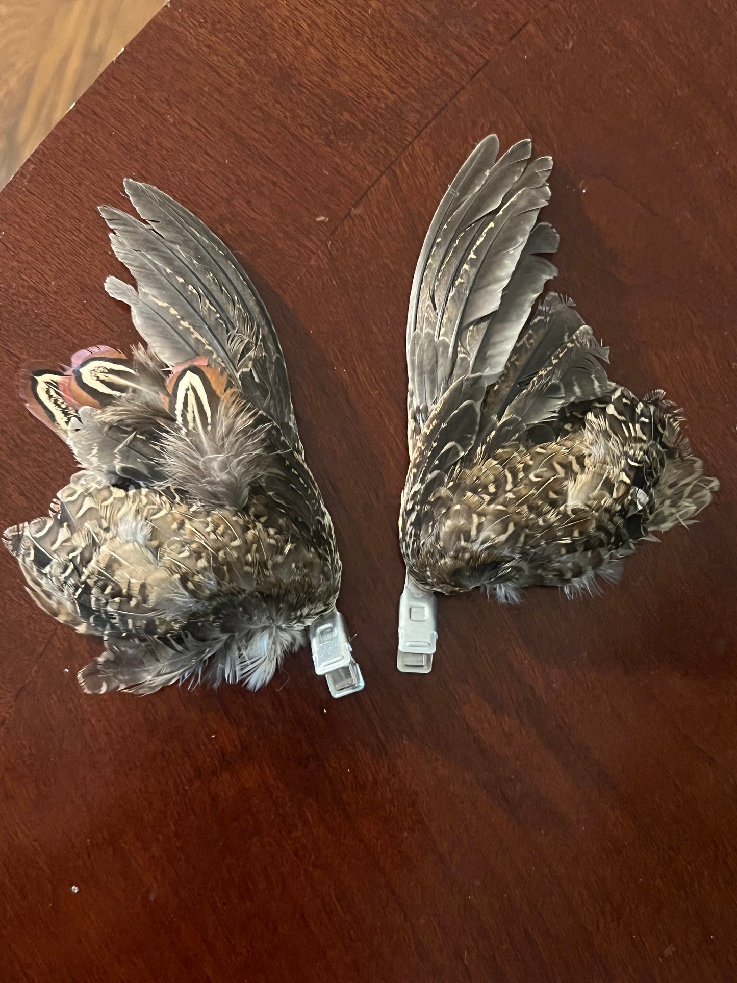 eden quail clips