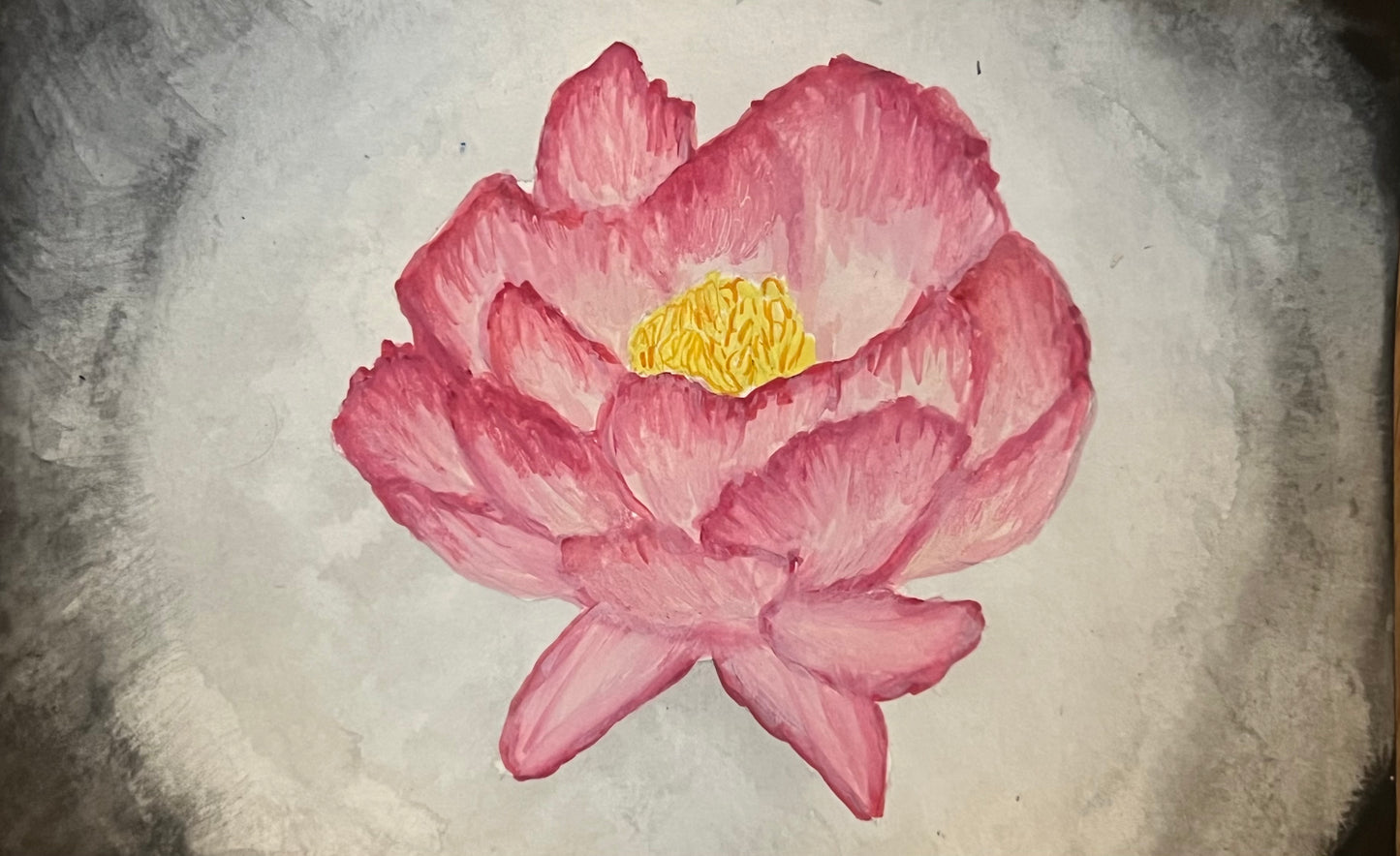 peony full bloom