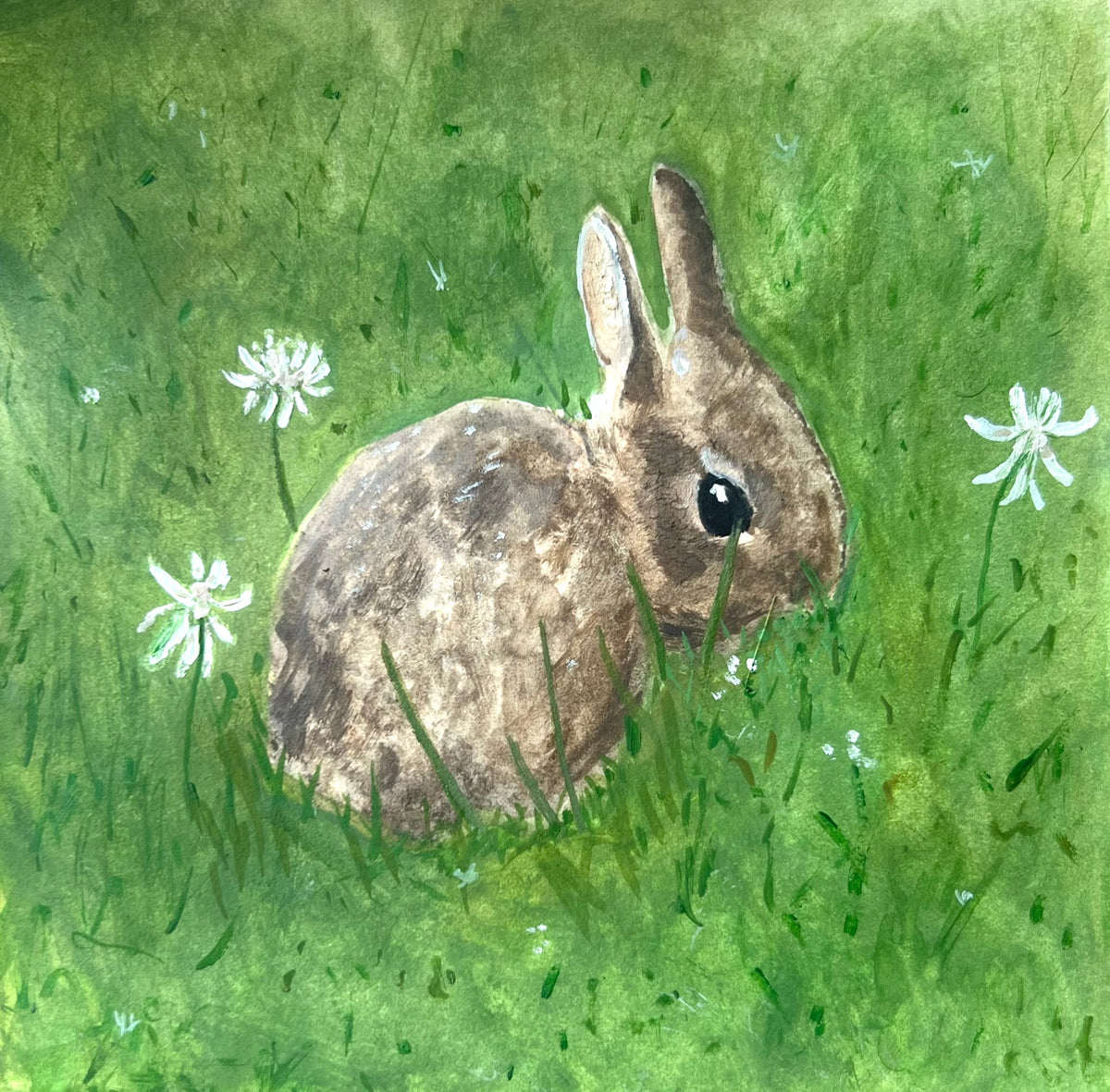 backyard bunny
