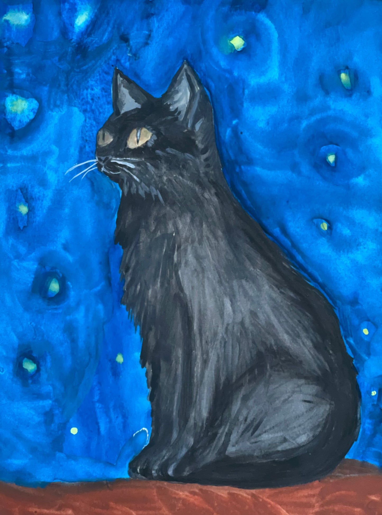 black cat