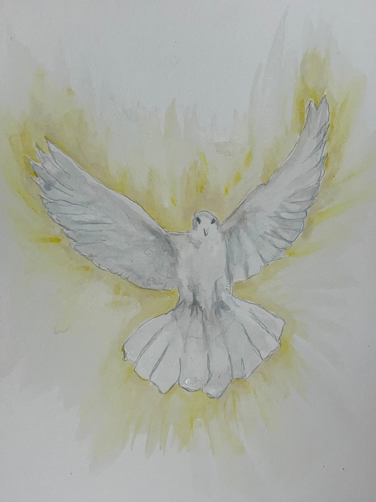 pretty dove watercolor
