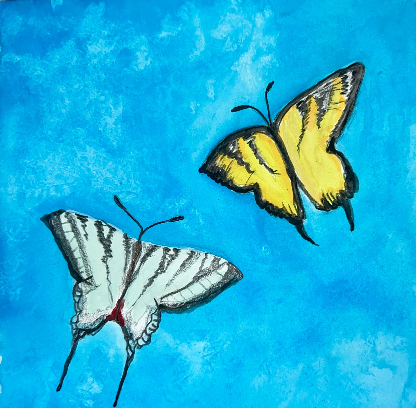 two butterflies
