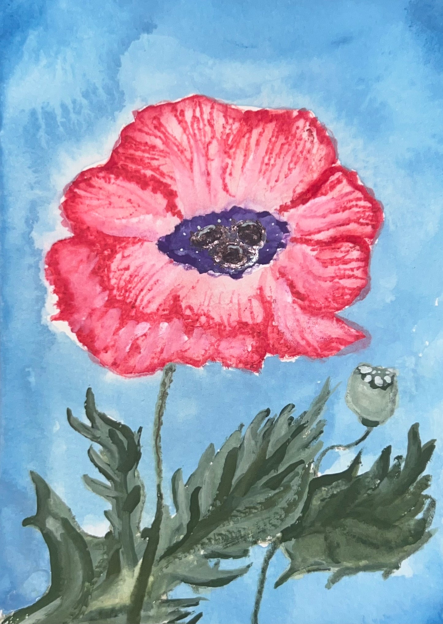 poppy and bud