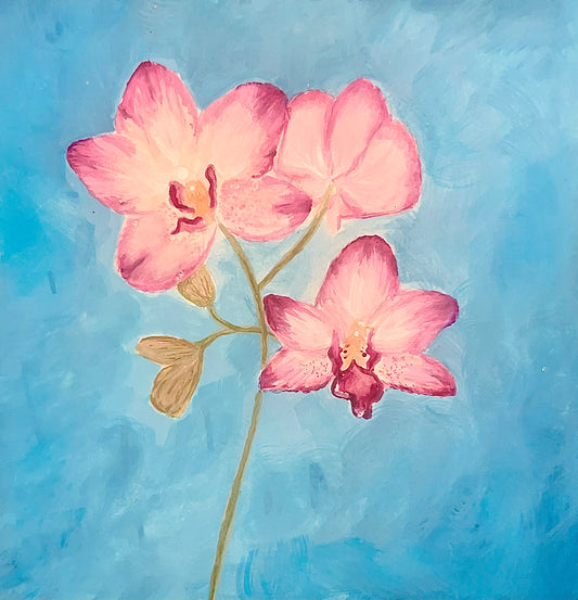 cherry colored orchids