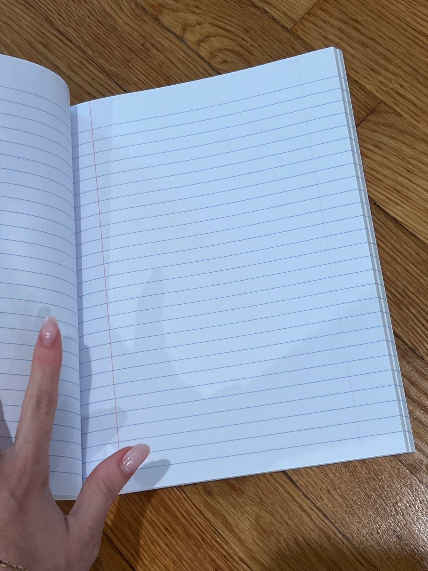 money honey lined notebook