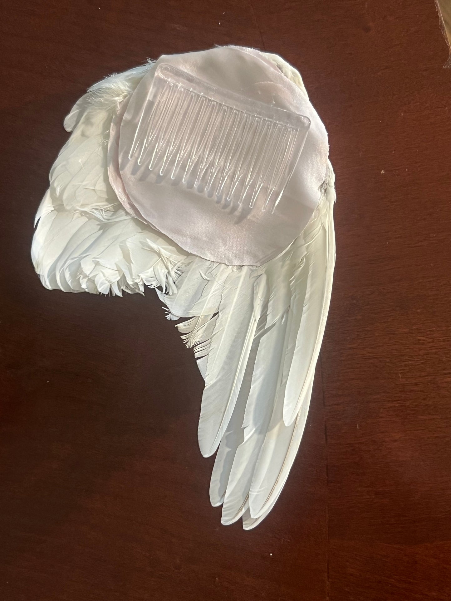 angel eden wing clip