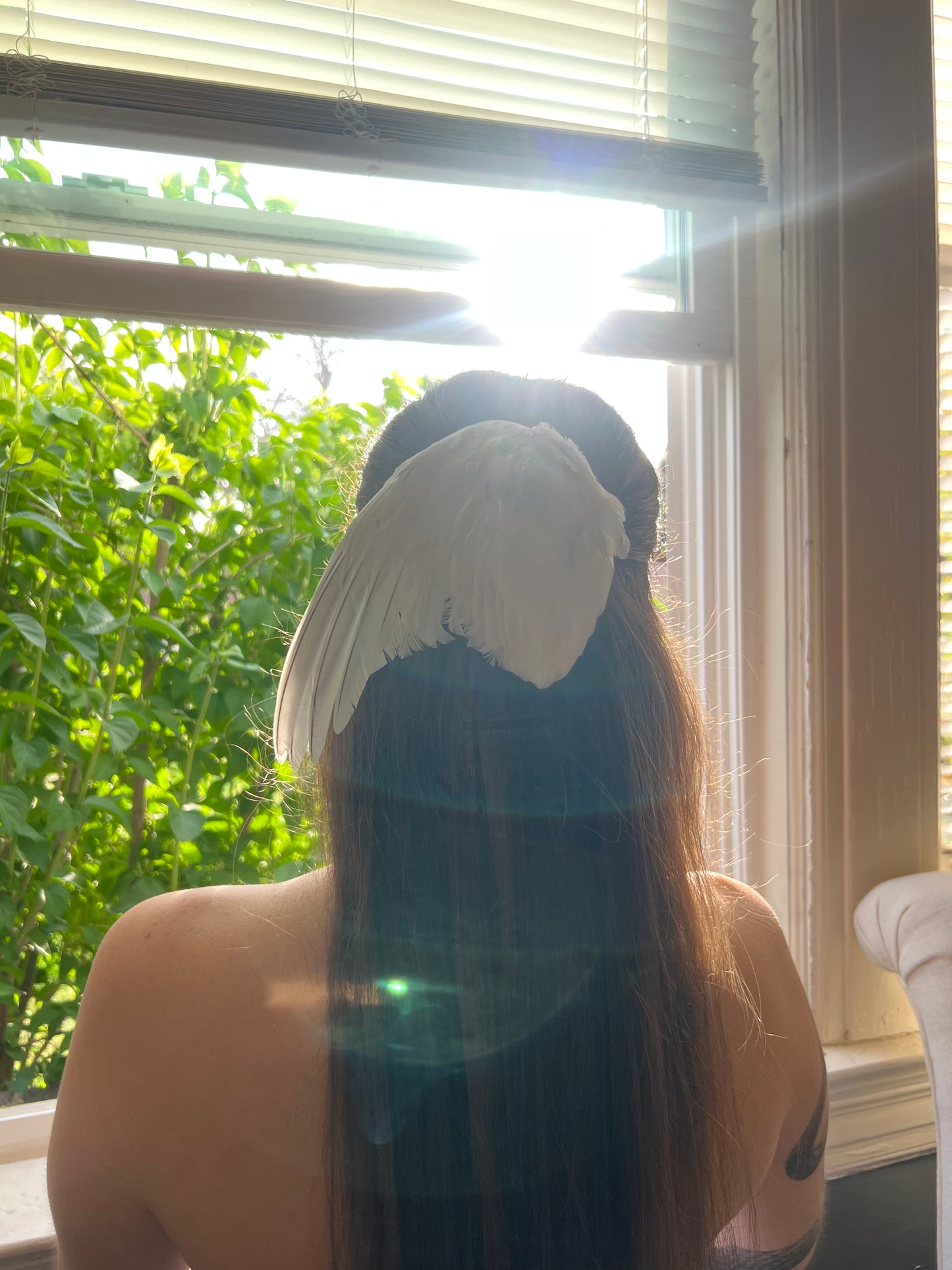 angel eden wing clip