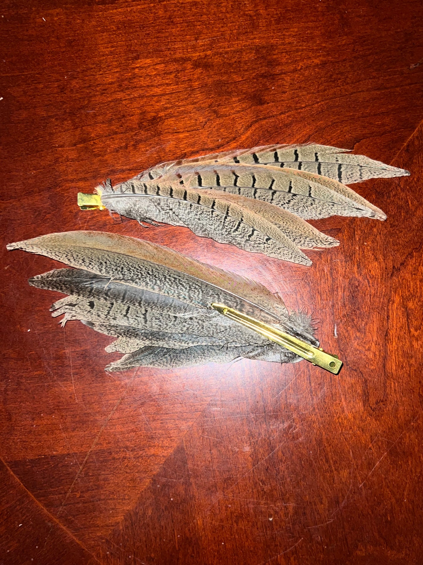 angel of eden pheasant clips