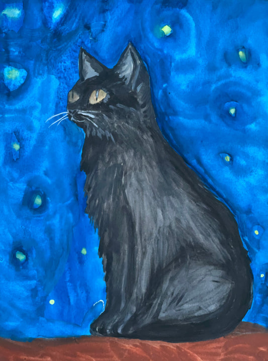 black cat