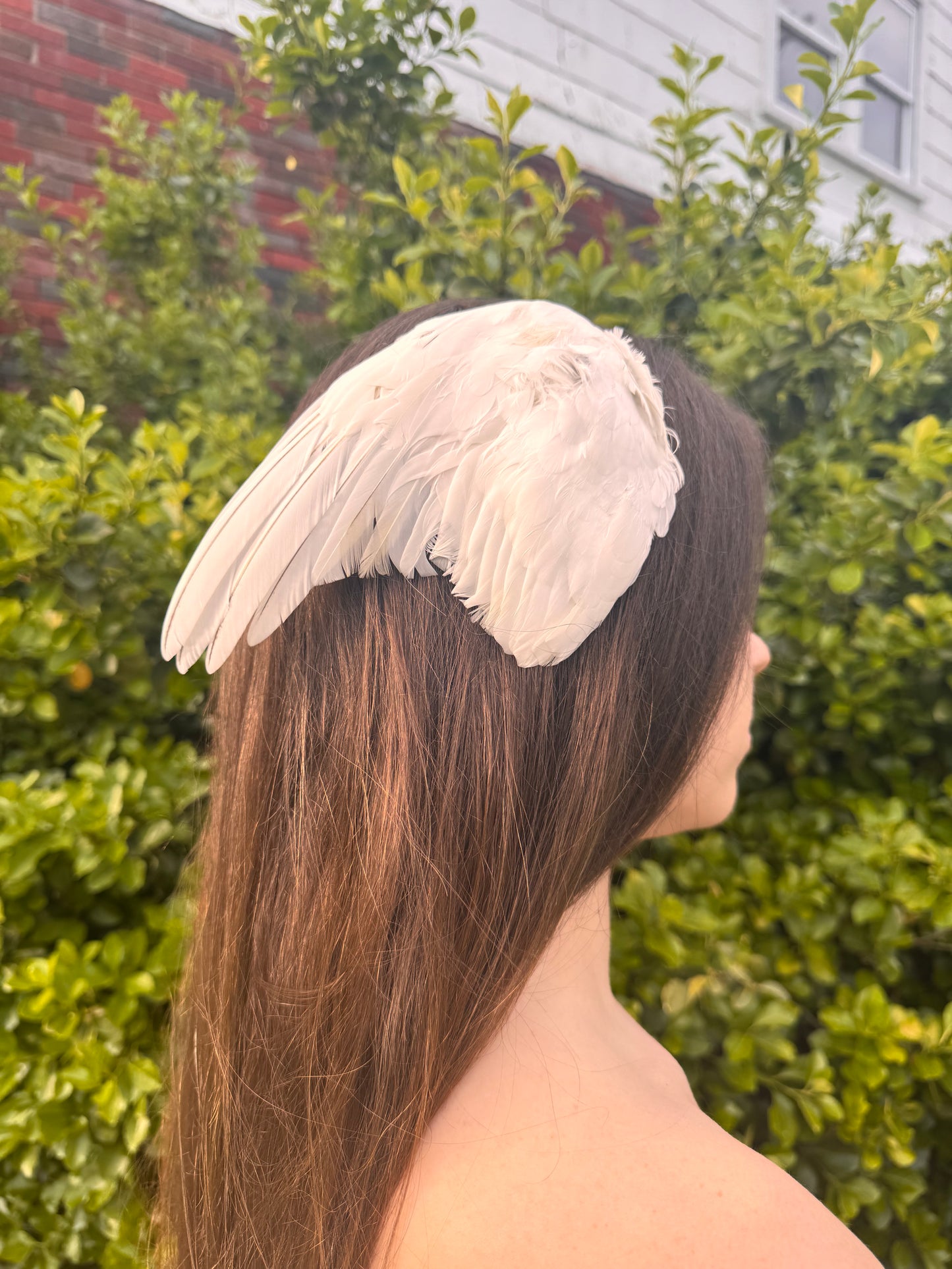 angel eden wing clip