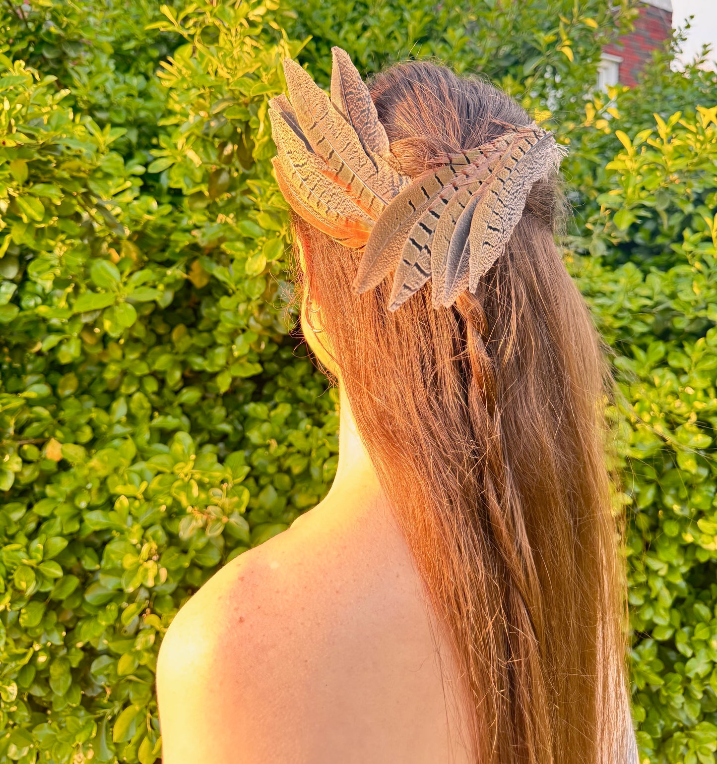 angel of eden pheasant clips