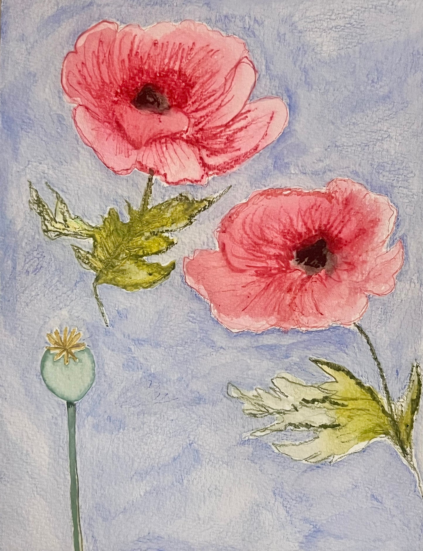 pink poppies