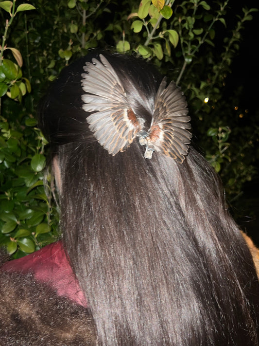 angel of eden hair clips