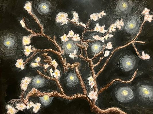 cherry blossoms at night