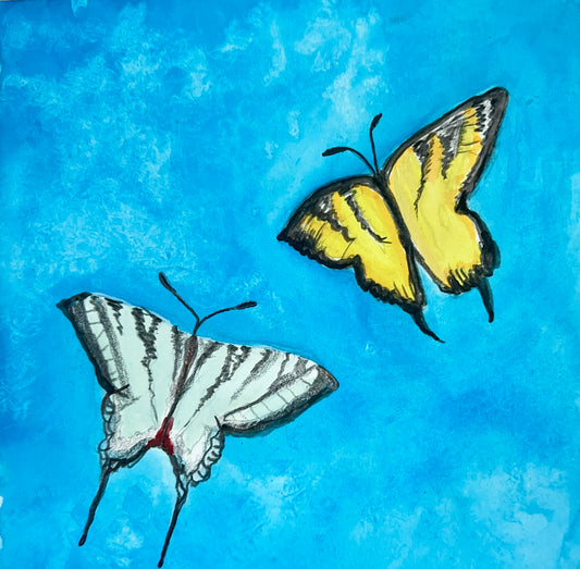 two butterflies