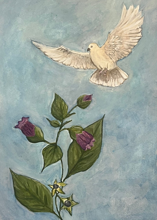 belladonna and dove